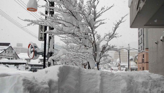 気になる雪は･･･